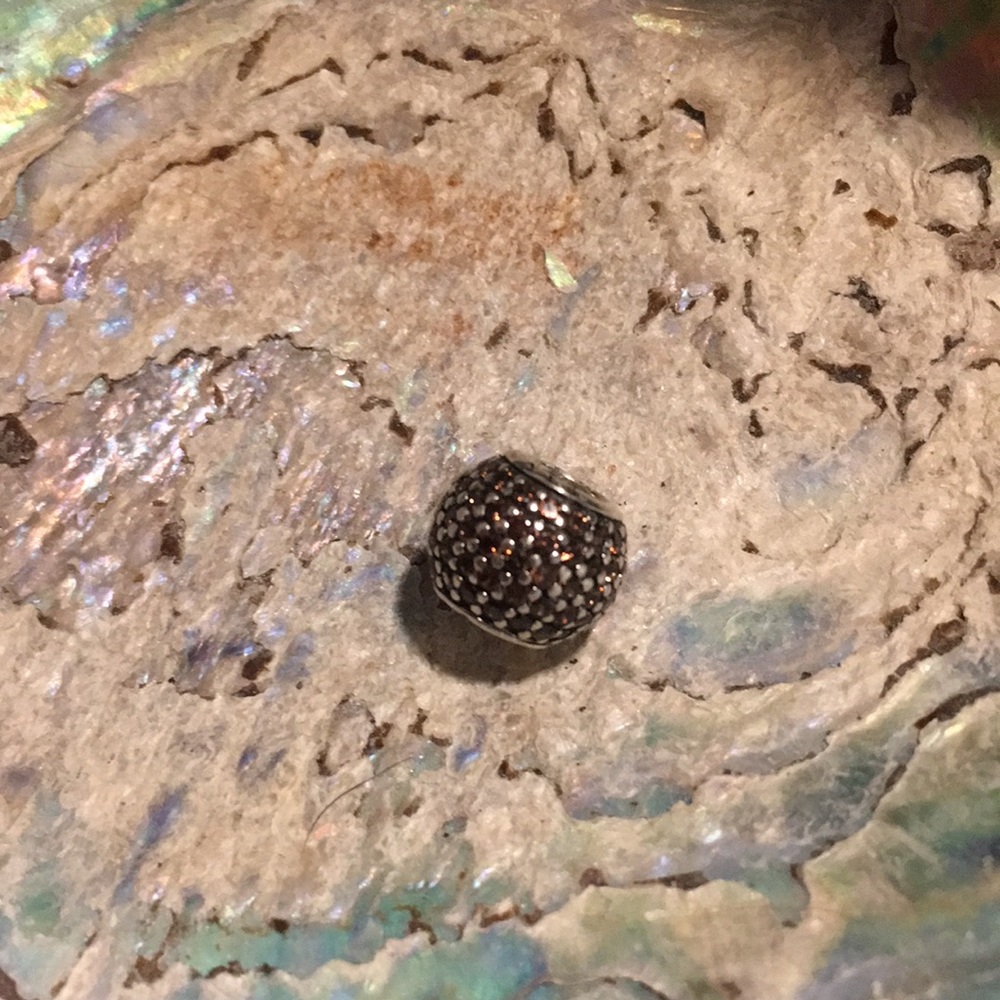 Pandora Charm